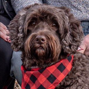 Meet your Posher, Natalie